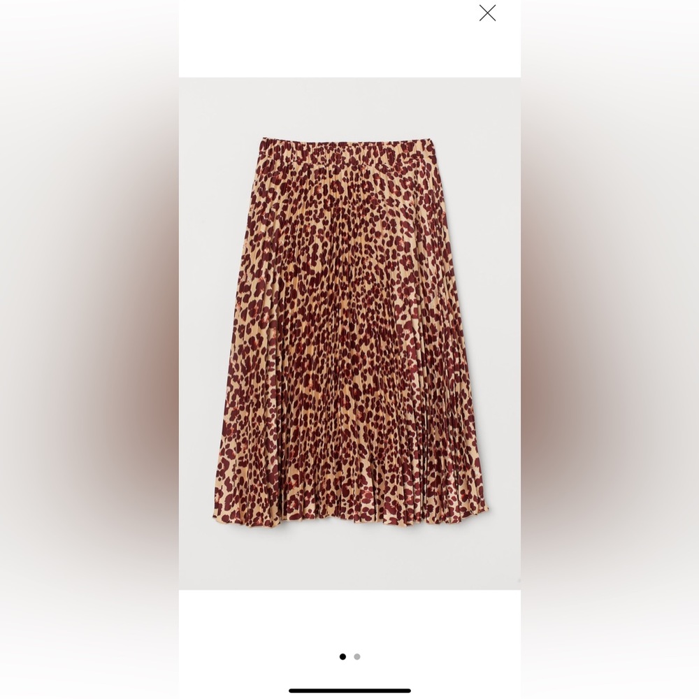 H&M Pleated Skirt